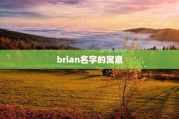 brian名字的寓意