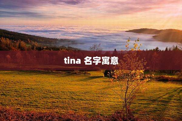 tina 名字寓意