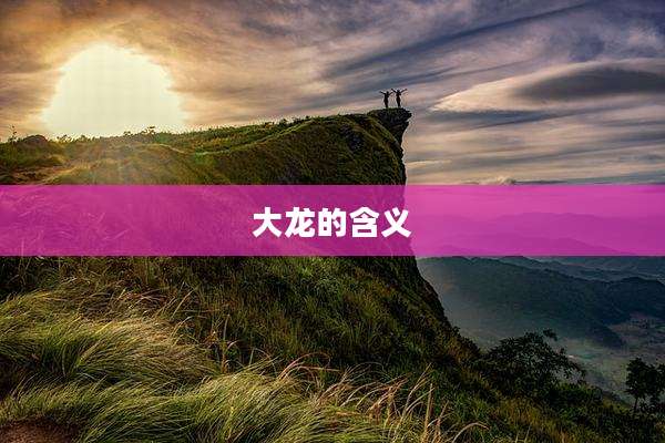 大龙的含义
