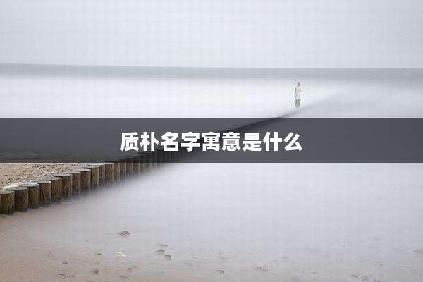 质朴名字寓意是什么