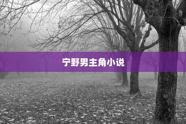 宁野男主角小说