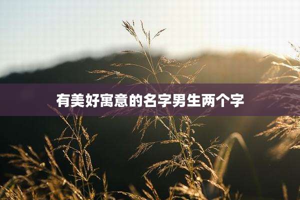 有美好寓意的名字男生两个字