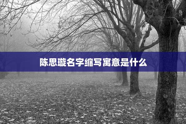 陈思璇名字缩写寓意是什么