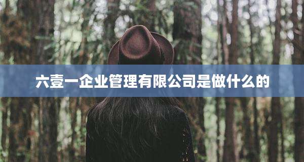 六壹一企业管理有限公司是做什么的