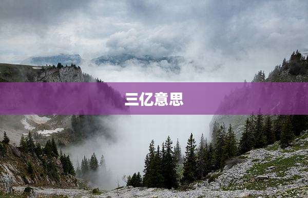 三亿意思