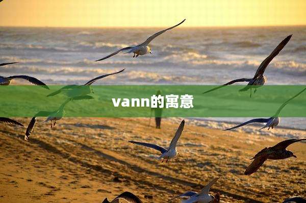 vann的寓意