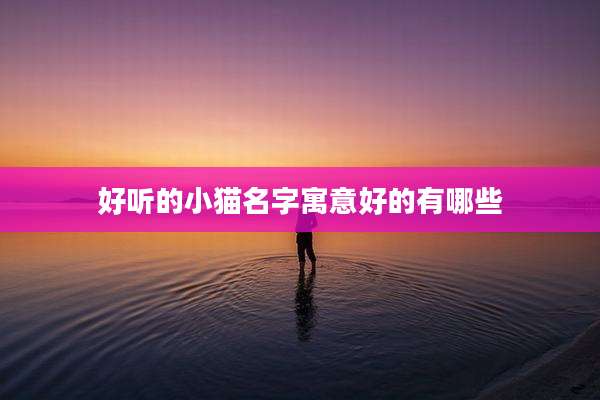 好听的小猫名字寓意好的有哪些