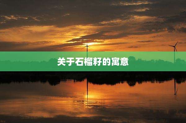 关于石榴籽的寓意