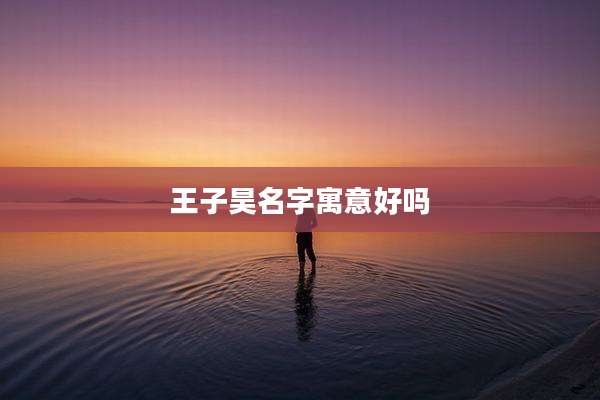 王子昊名字寓意好吗