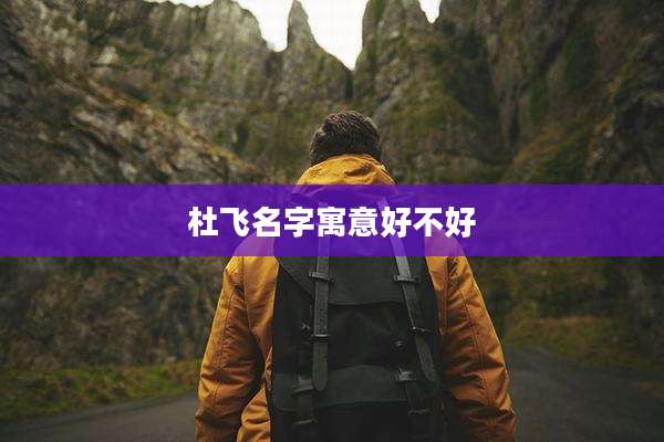 杜飞名字寓意好不好