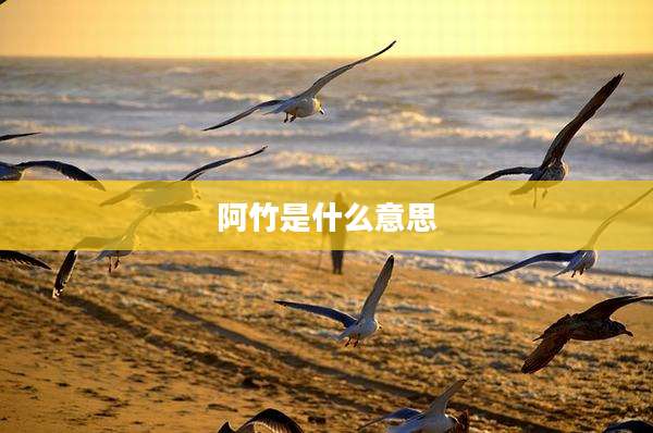 阿竹是什么意思