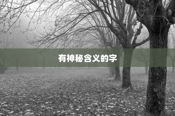 有神秘含义的字