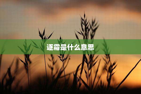 逐霜是什么意思