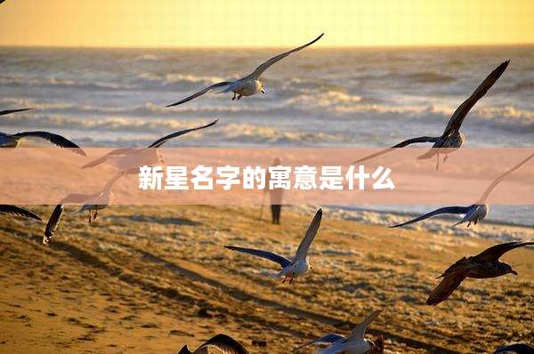 新星名字的寓意是什么