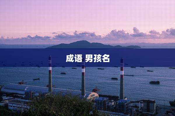成语 男孩名