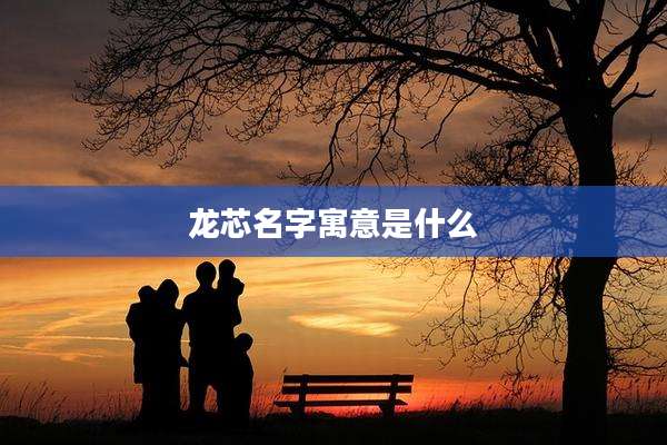 龙芯名字寓意是什么