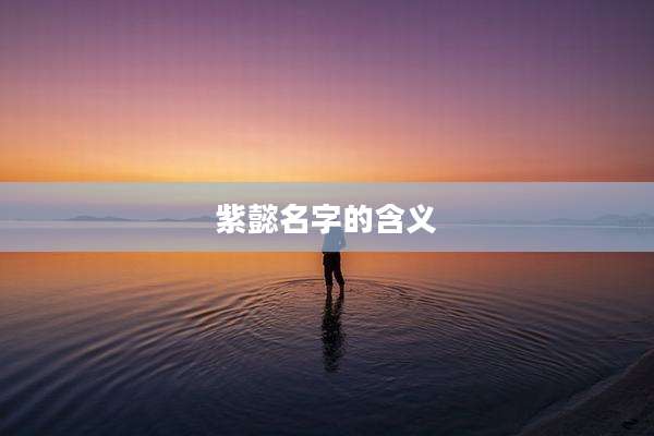 紫懿名字的含义