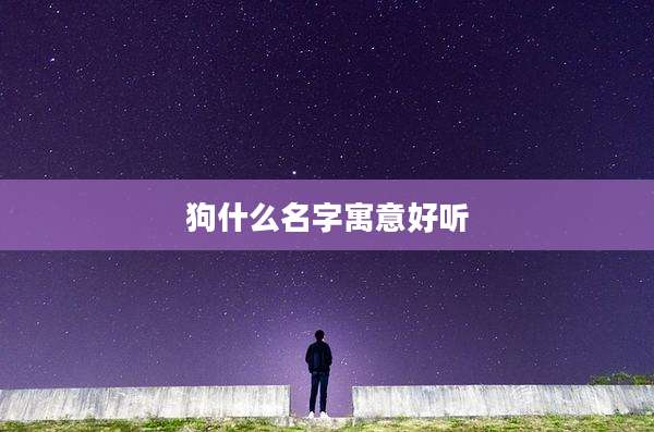 狗什么名字寓意好听