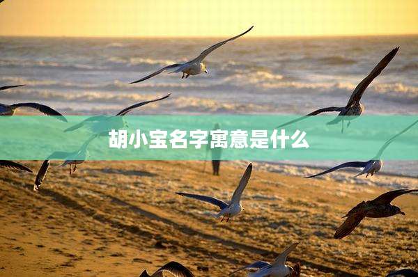 胡小宝名字寓意是什么