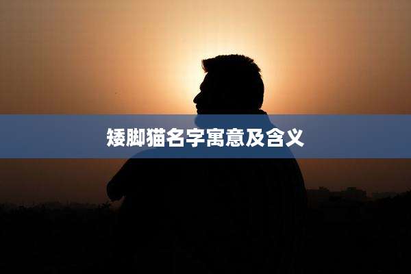 矮脚猫名字寓意及含义