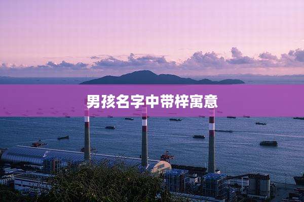 男孩名字中带梓寓意
