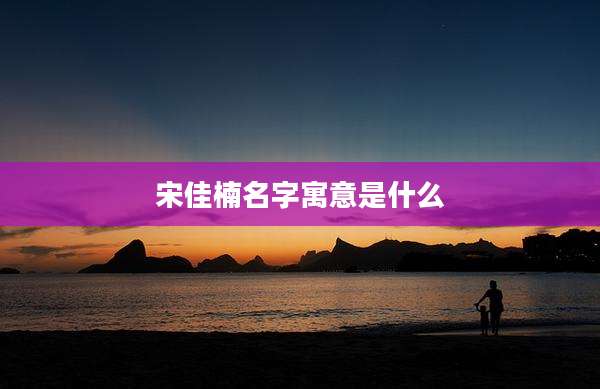 宋佳楠名字寓意是什么