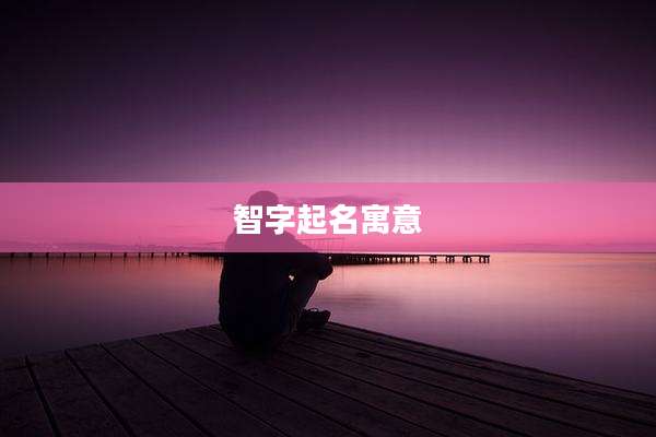 智字起名寓意