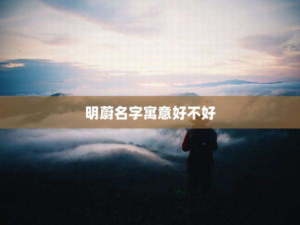 明蔚名字寓意好不好