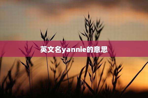 英文名yannie的意思