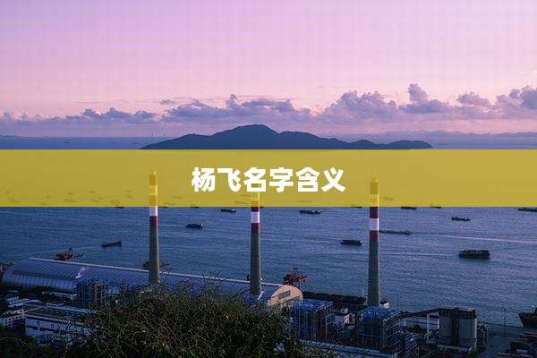 杨飞名字含义