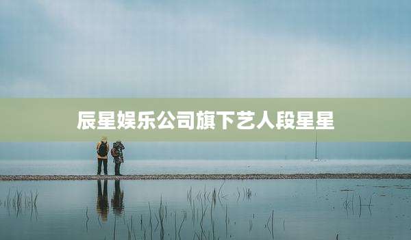 辰星娱乐公司旗下艺人段星星