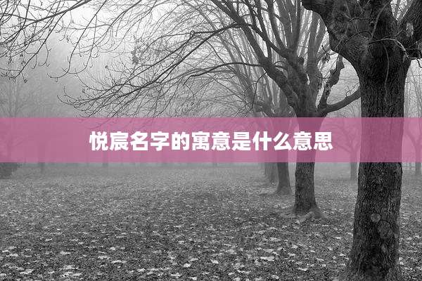 悦宸名字的寓意是什么意思
