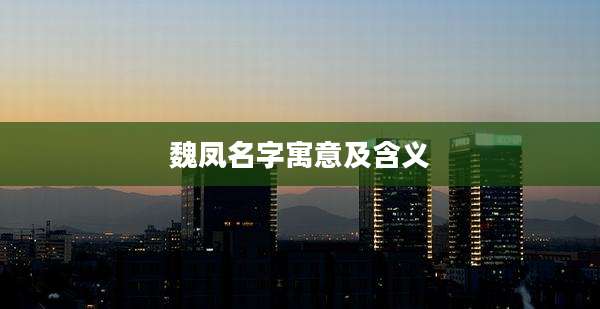 魏凤名字寓意及含义