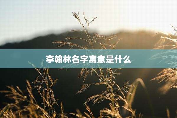 李翰林名字寓意是什么