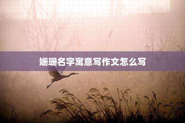 姗珊名字寓意写作文怎么写