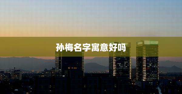 孙梅名字寓意好吗
