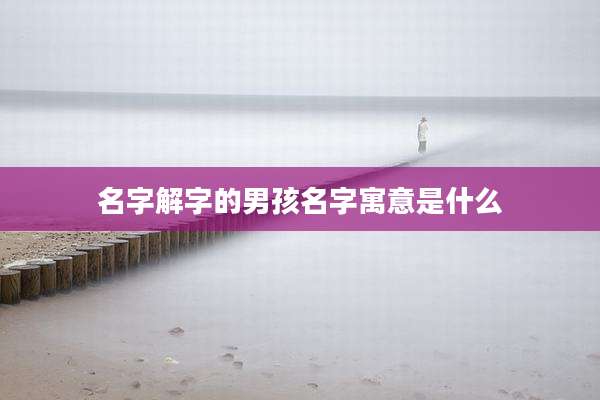 名字解字的男孩名字寓意是什么