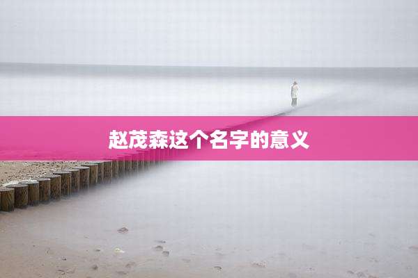 赵茂森这个名字的意义