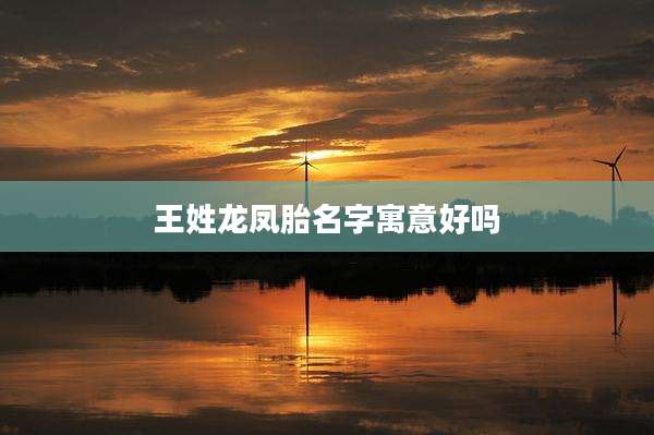 王姓龙凤胎名字寓意好吗