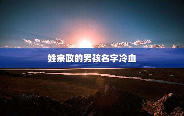 姓宗政的男孩名字冷血