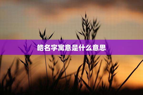 皓名字寓意是什么意思
