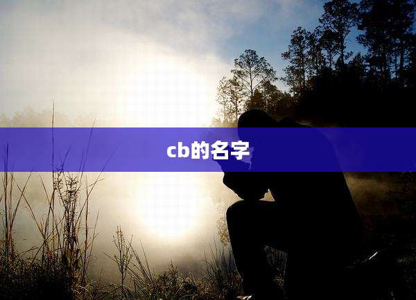 cb的名字