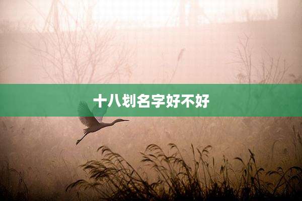 十八划名字好不好