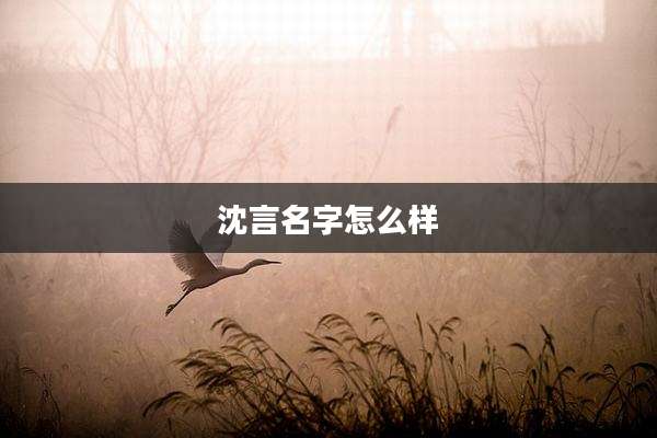 沈言名字怎么样