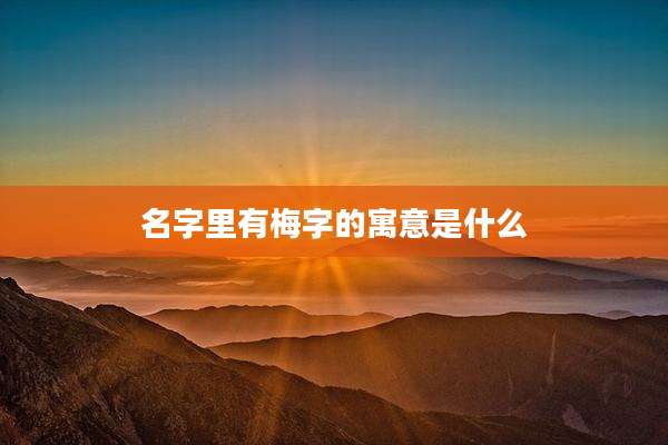 名字里有梅字的寓意是什么