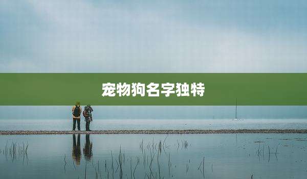 宠物狗名字独特