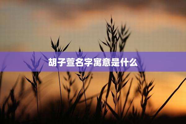 胡子萱名字寓意是什么