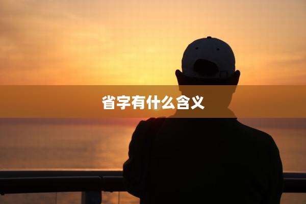 省字有什么含义