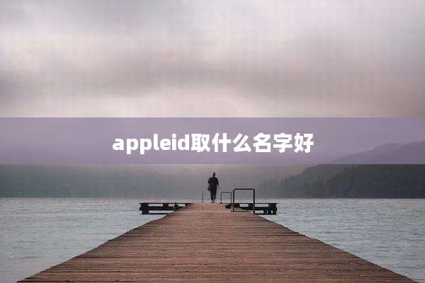 appleid取什么名字好