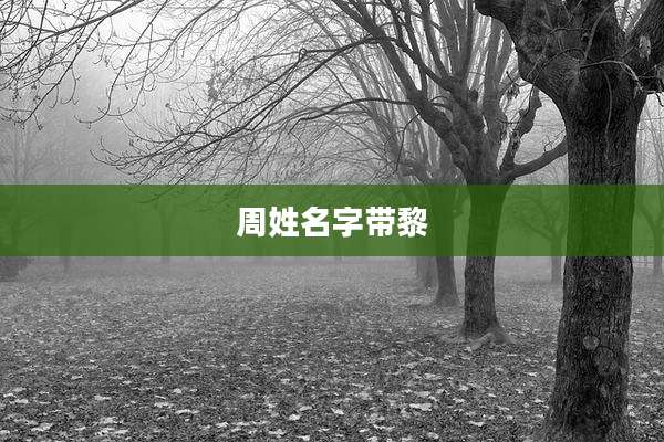 周姓名字带黎